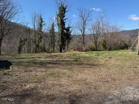 Vacant Land For Sale - 133 Haines Road<br/> Erwin, TN 37650