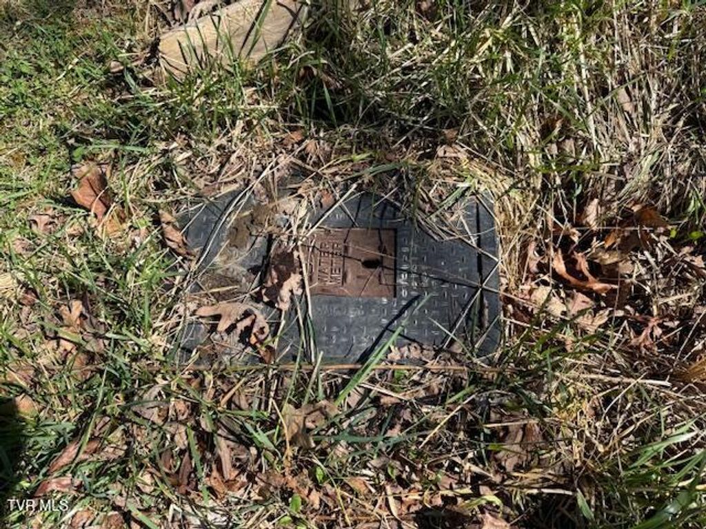 Photo of 133 Haines Road, Erwin, TN 37650 (MLS # 9992113)