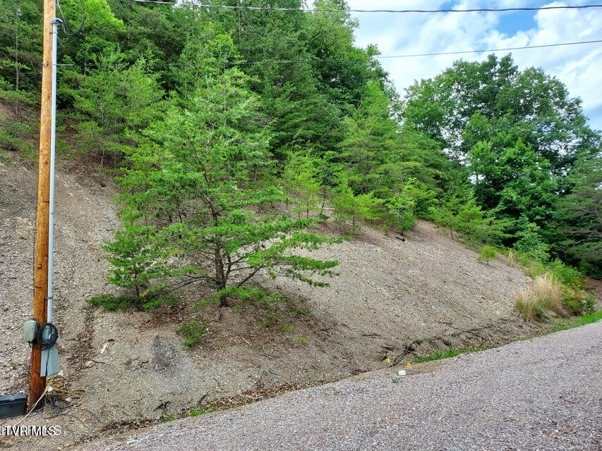 152 E Greenway Street, Sneedville, Tennessee image 26