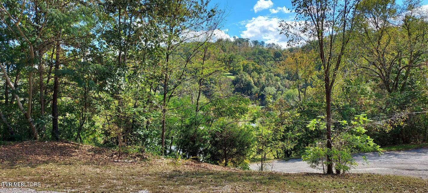 152 E Greenway Street, Sneedville, Tennessee image 3