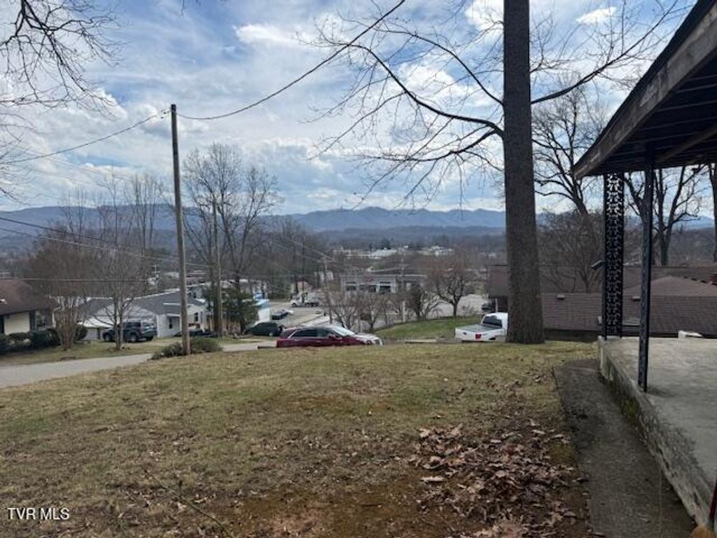 Photo of 607 Barton Street, Johnson City, TN 37604 (MLS # 9991998)