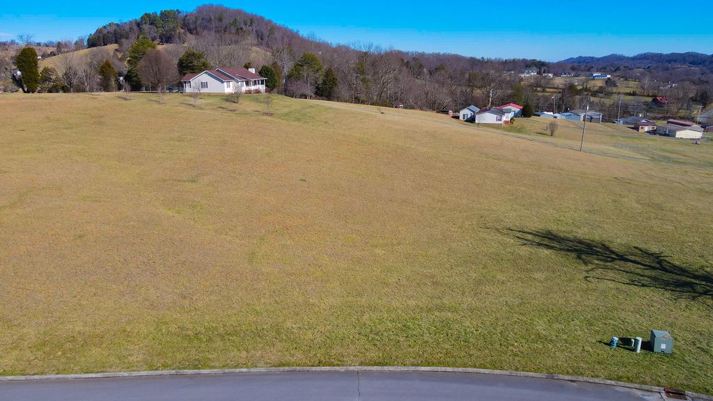 Photo of 15 Walnut Tree Drive, Church Hill, TN 37642 (MLS # 9993124)