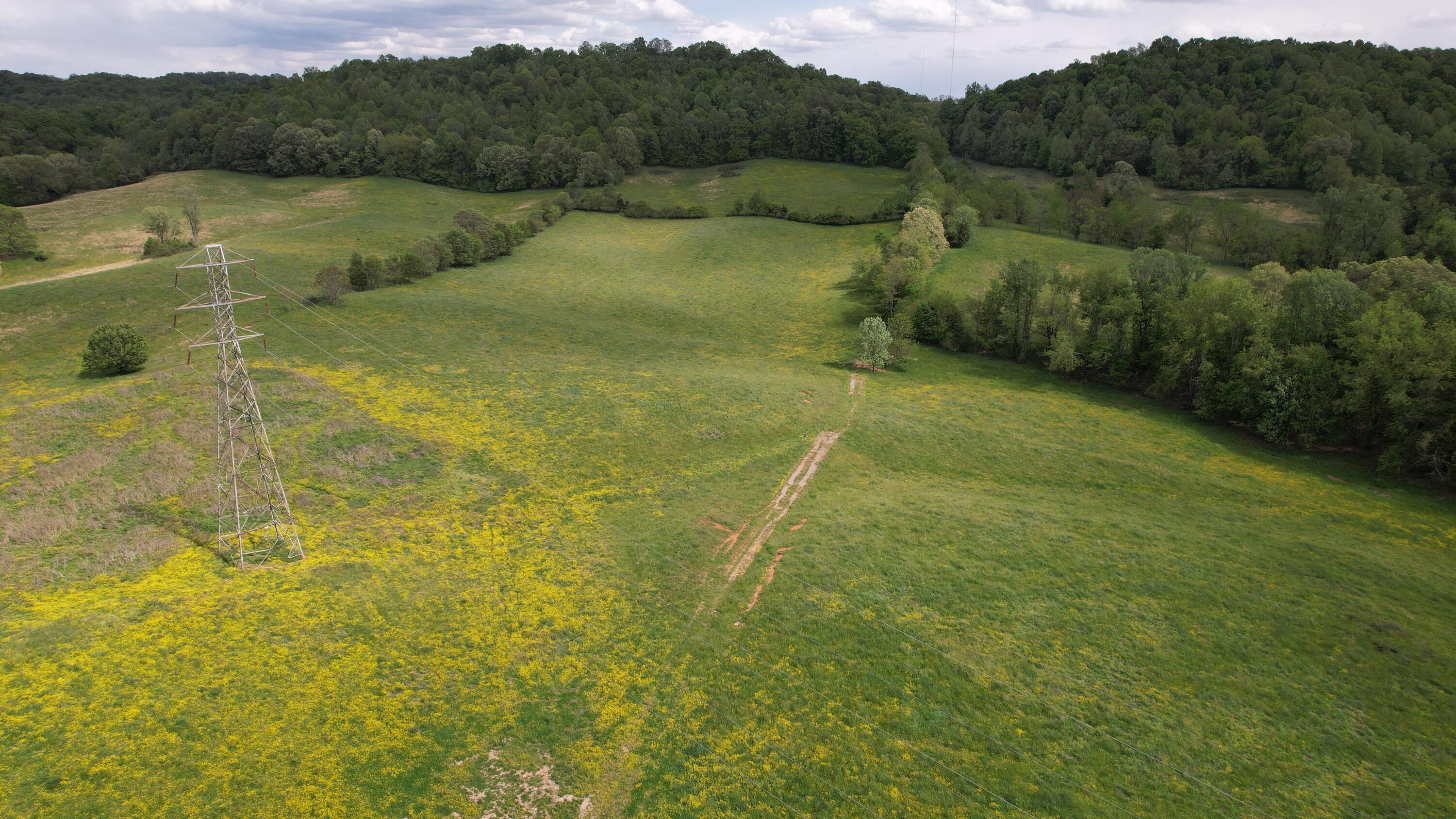 592 Catawba Fieldcrest Development, Kingsport, Tennessee image 6