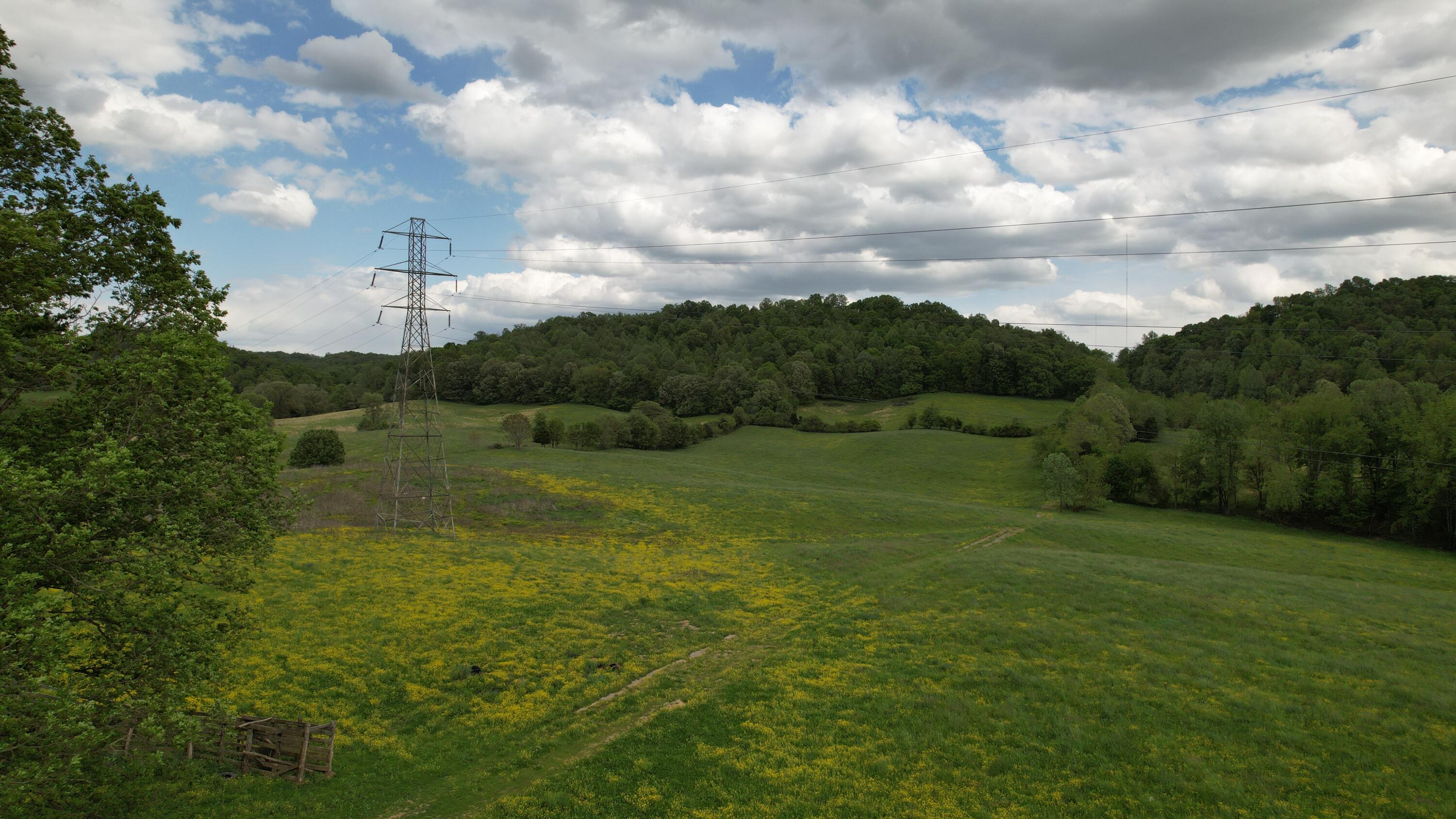 592 Catawba Fieldcrest Development, Kingsport, Tennessee image 8
