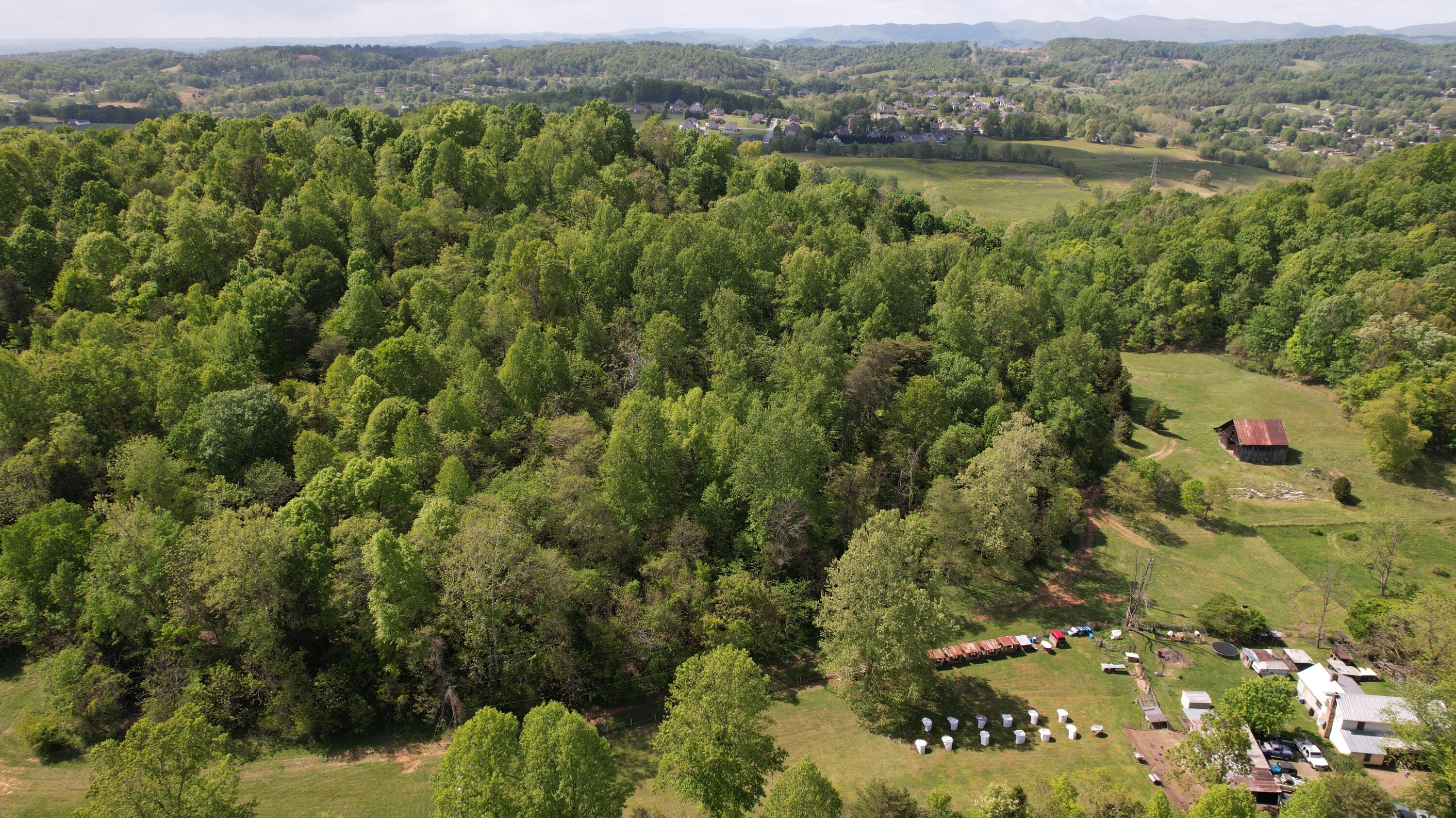 592 Catawba Fieldcrest Development, Kingsport, Tennessee image 4