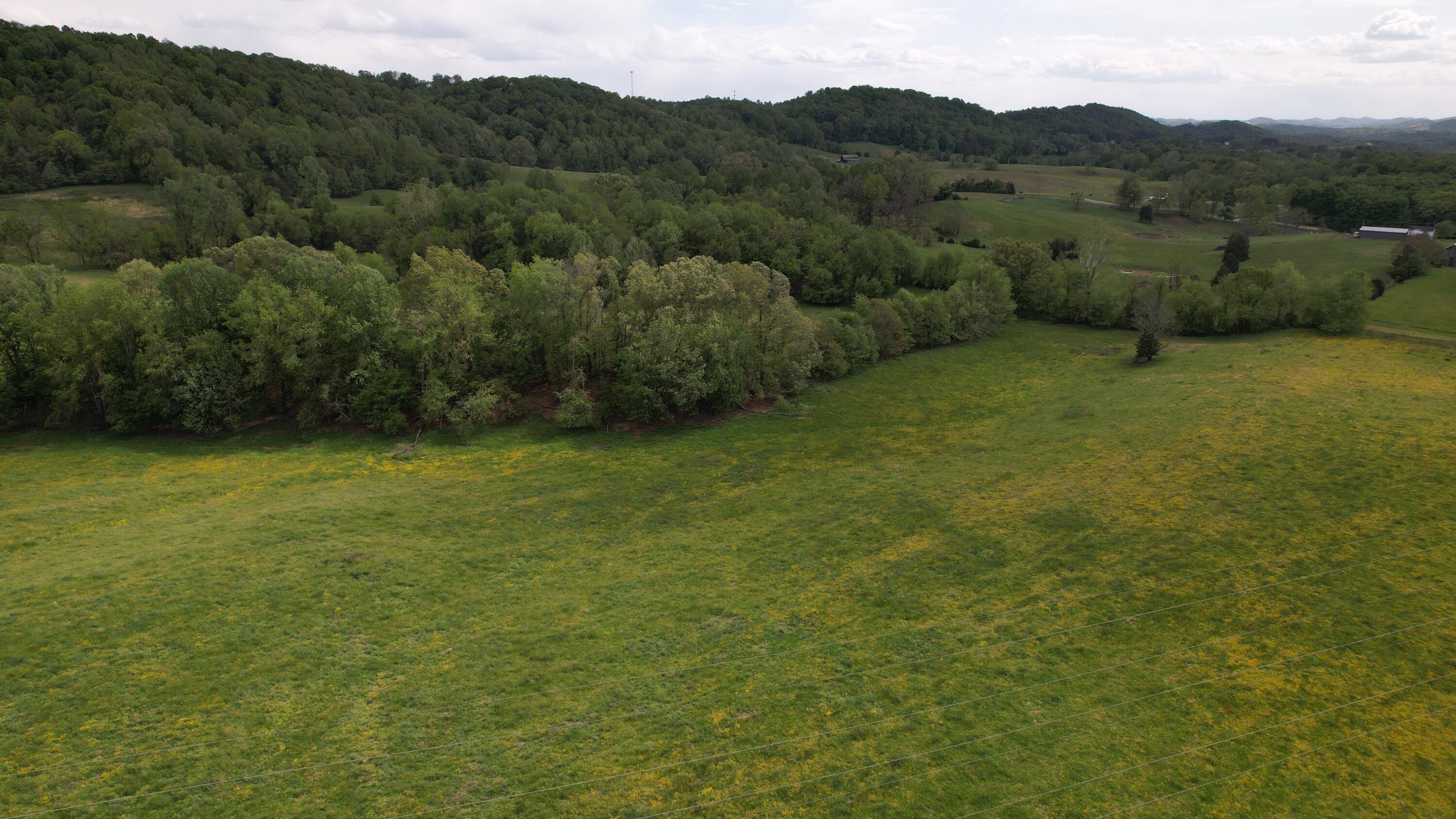 592 Catawba Fieldcrest Development, Kingsport, Tennessee image 13