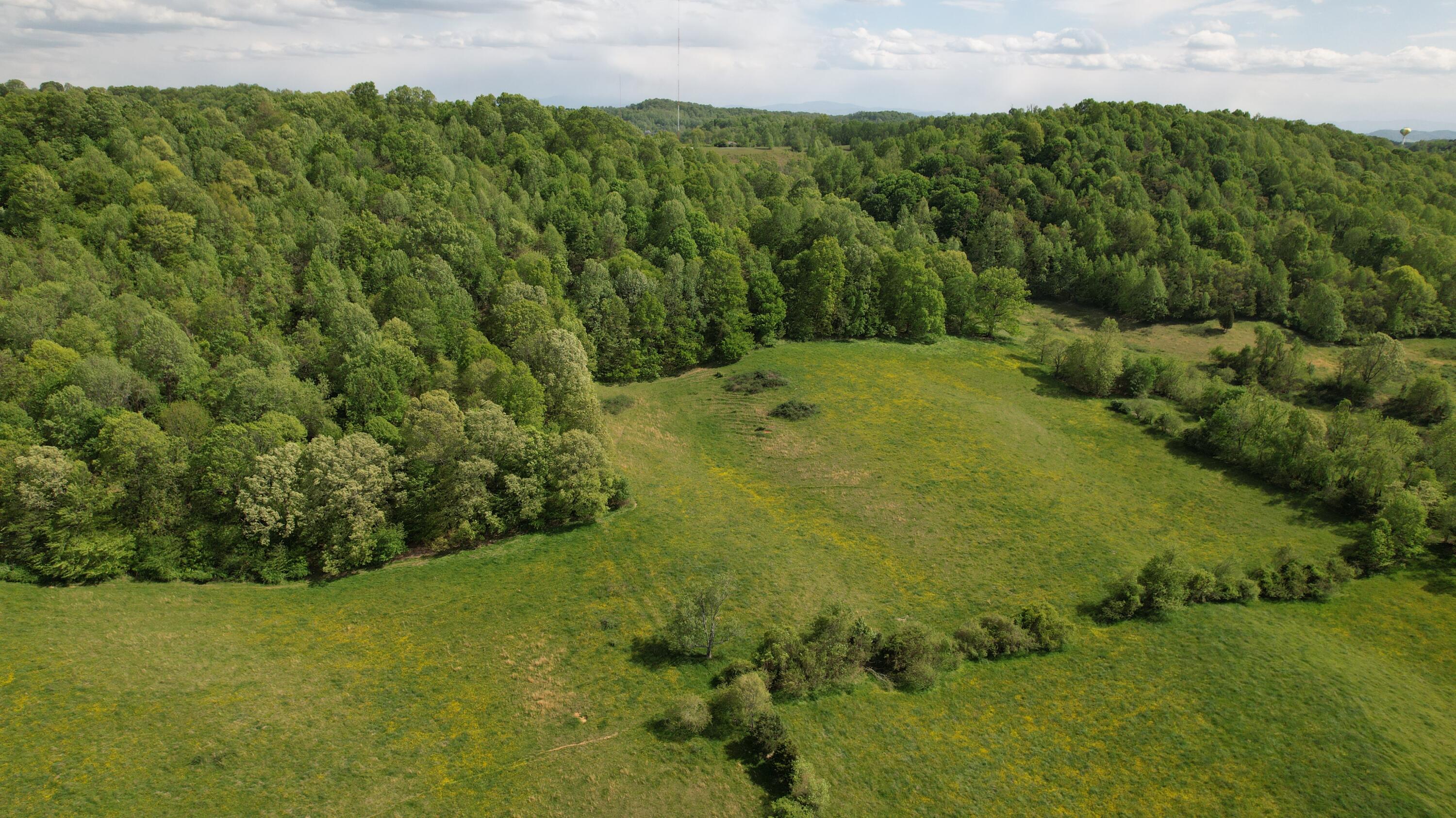592 Catawba Fieldcrest Development, Kingsport, Tennessee image 38