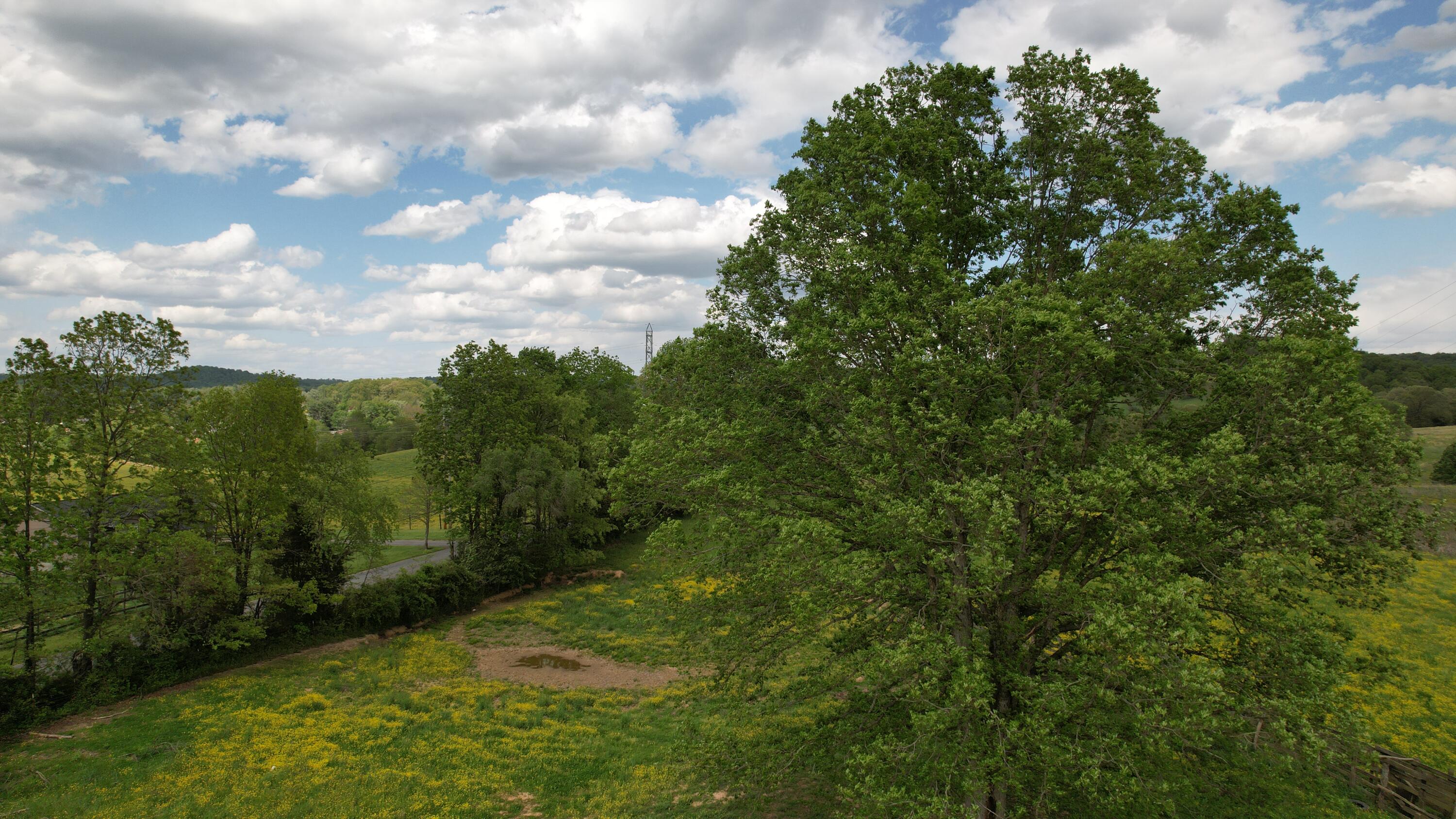 592 Catawba Fieldcrest Development, Kingsport, Tennessee image 9