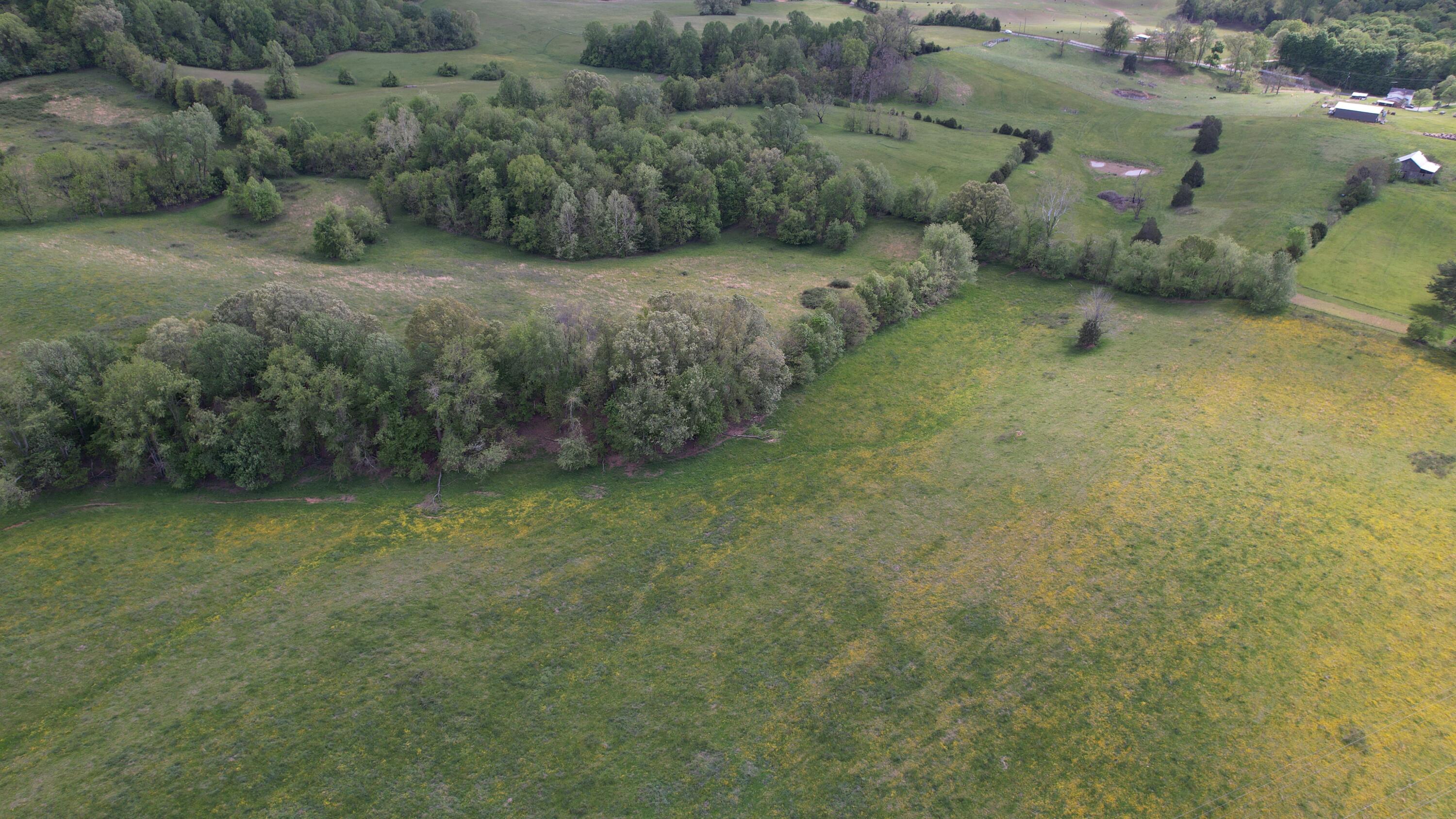 592 Catawba Fieldcrest Development, Kingsport, Tennessee image 19