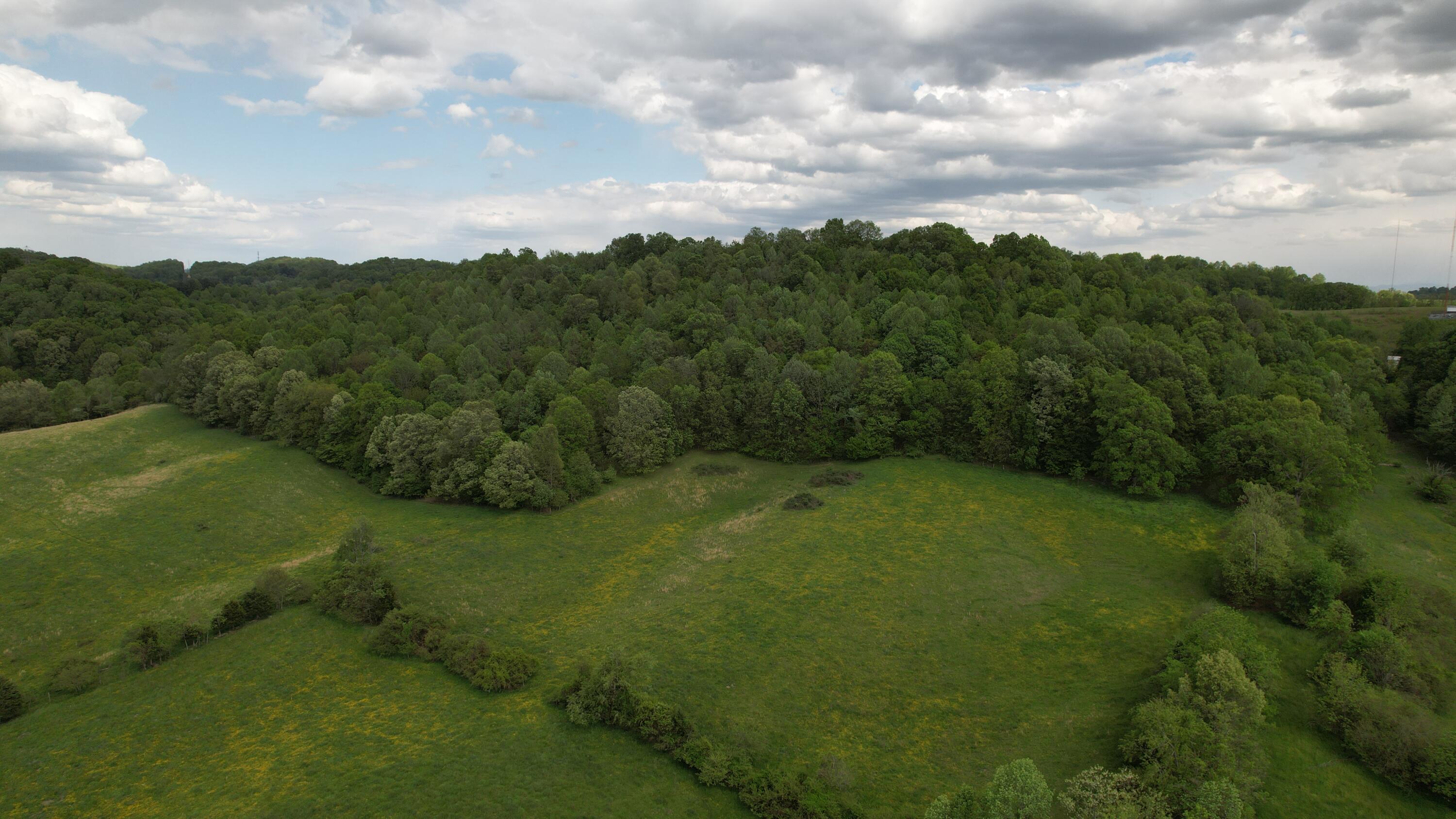 592 Catawba Fieldcrest Development, Kingsport, Tennessee image 27