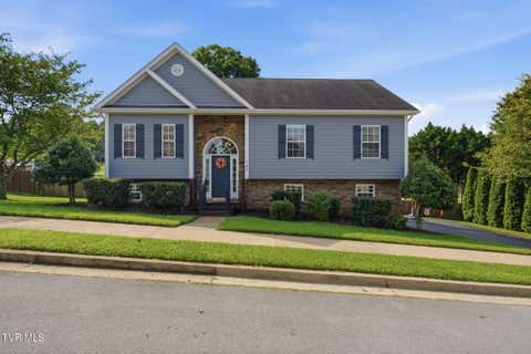 Photo of 145 Azalea Ridge, Johnson City, TN 37601 (MLS # 9999870)