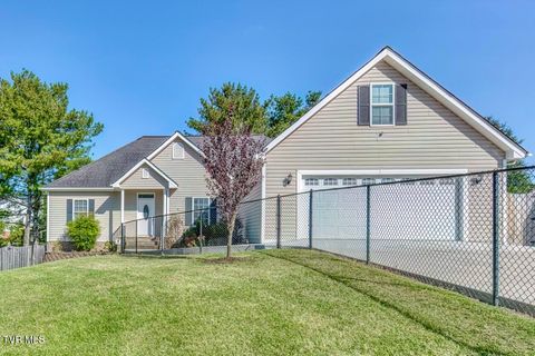 Photo of 4061 Old Jonesboro Road, Bristol, TN 37620 (MLS # 9986637)