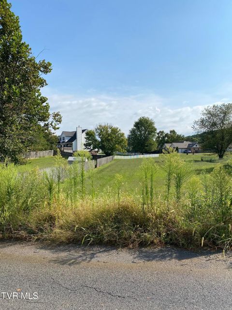 Vacant Land For Sale - 00 Mt Bethel Road<br/> Greeneville, TN 37745