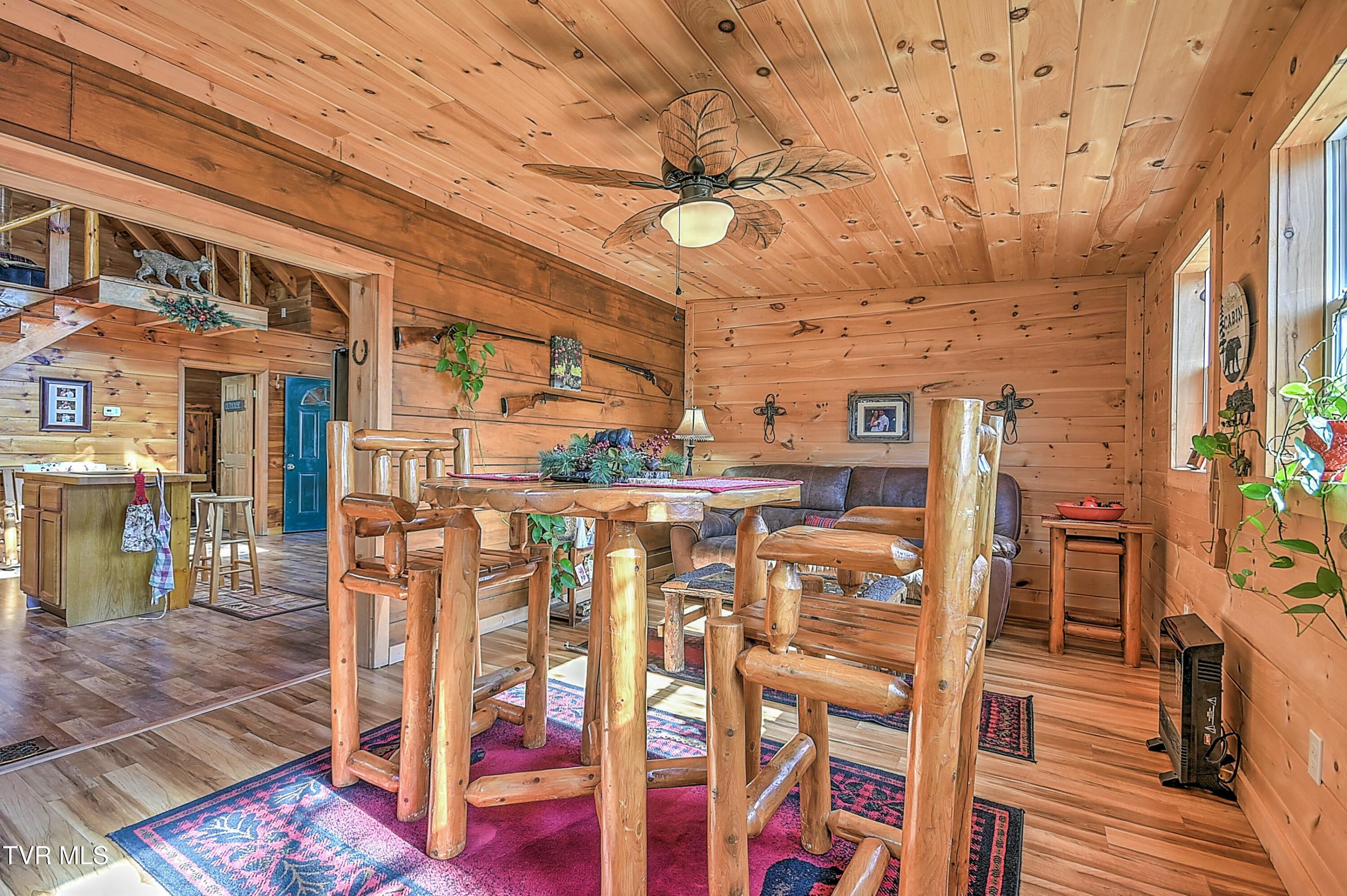 246 Holston Drive, Blountville, Tennessee image 27