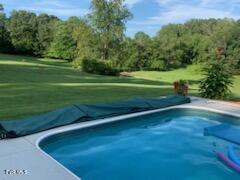 246 Holston Drive, Blountville, Tennessee image 49