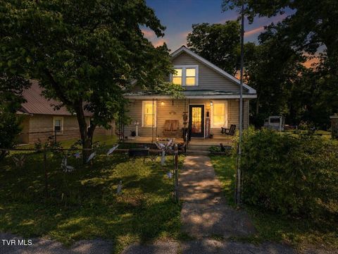 Homes For Sale - 113 Devault Street<br/> Kingsport, TN 37660