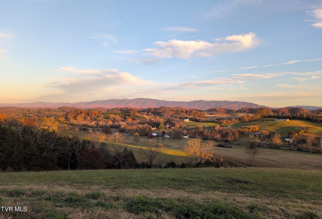 Photo of 1578 Hunting Hill Road, Bluff City, TN 37618 (MLS # 9992663)