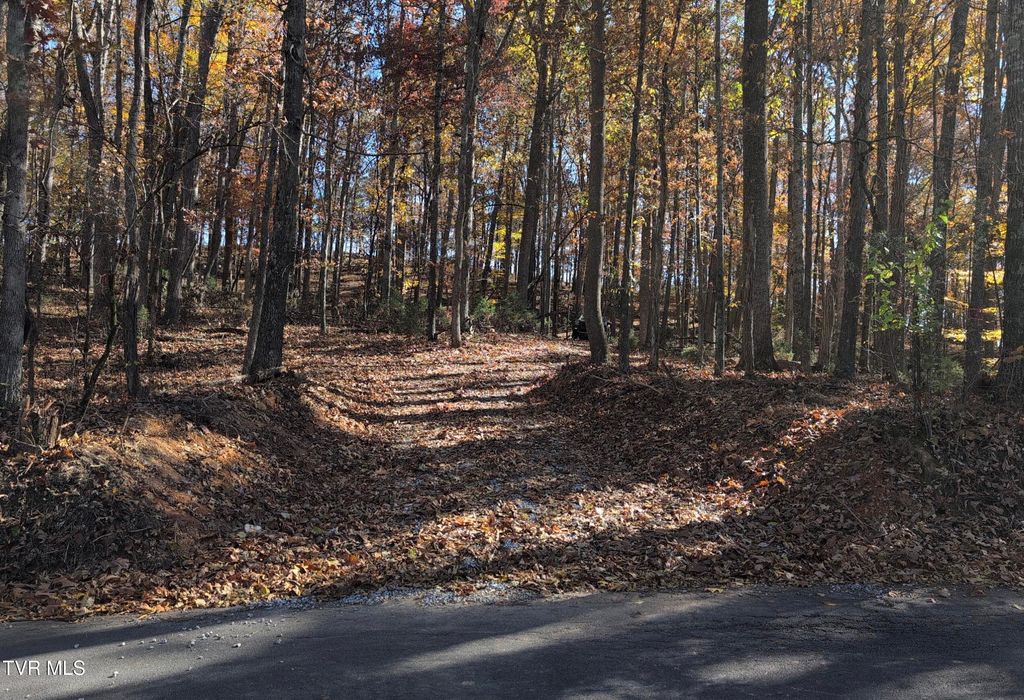 Photo of 1578 Hunting Hill Road, Bluff City, TN 37618 (MLS # 9992663)