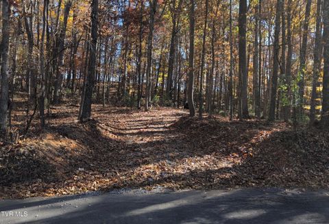 Vacant Land For Sale - 1578 Hunting Hill Road<br/> Bluff City, TN 37618
