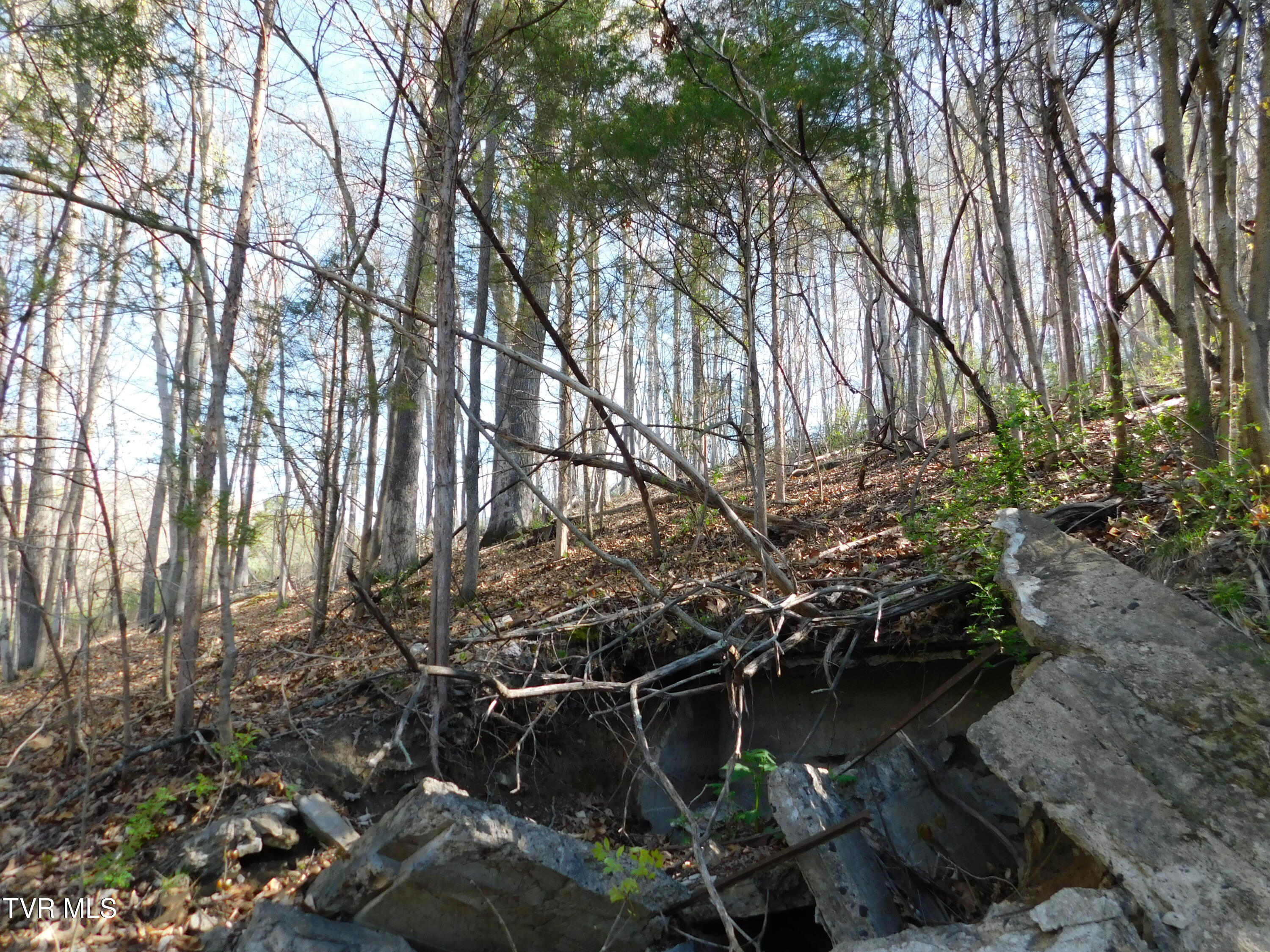 4400 Big Hill Road, Pennington Gap, Virginia image 25