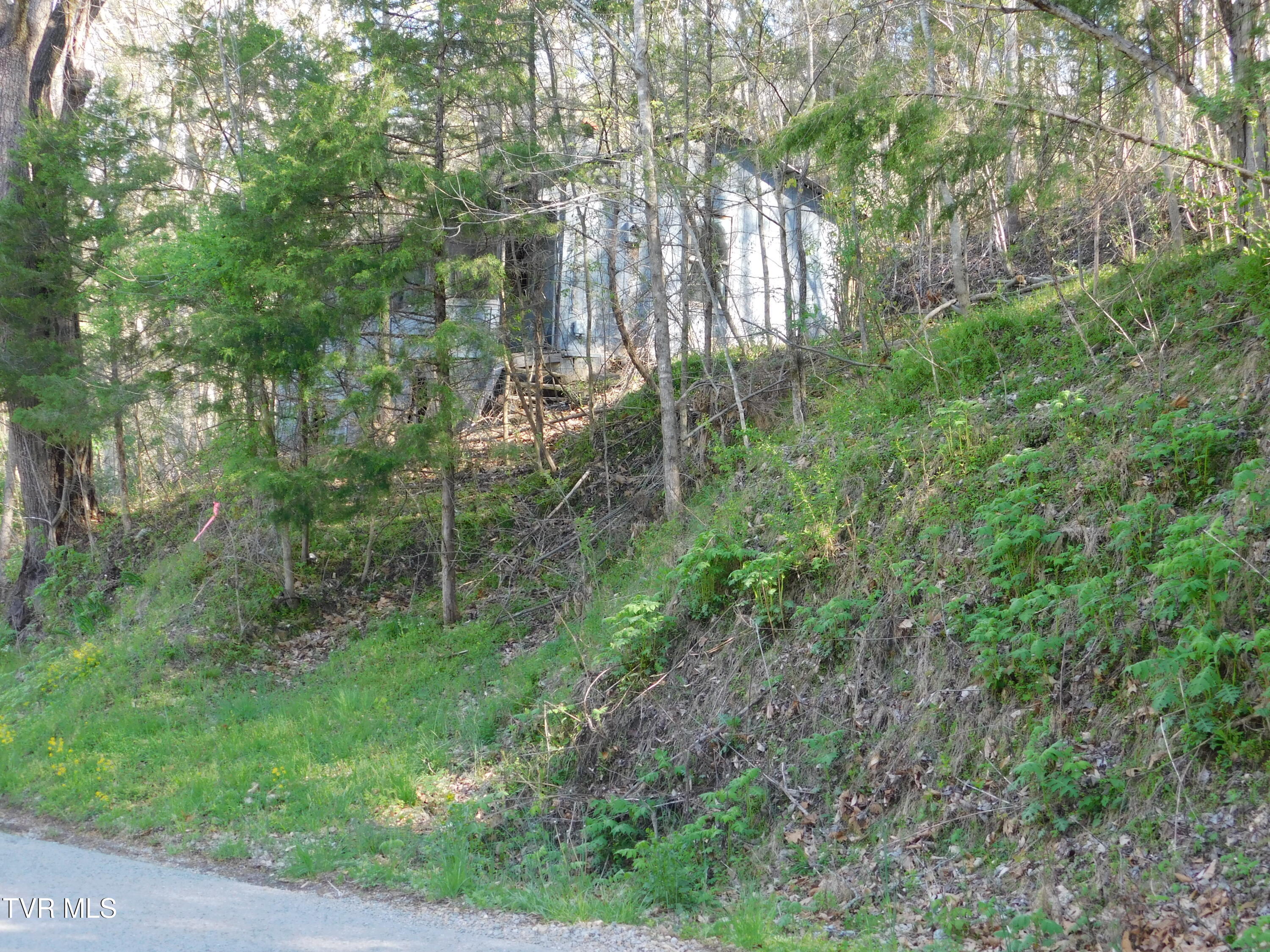 4400 Big Hill Road, Pennington Gap, Virginia image 1