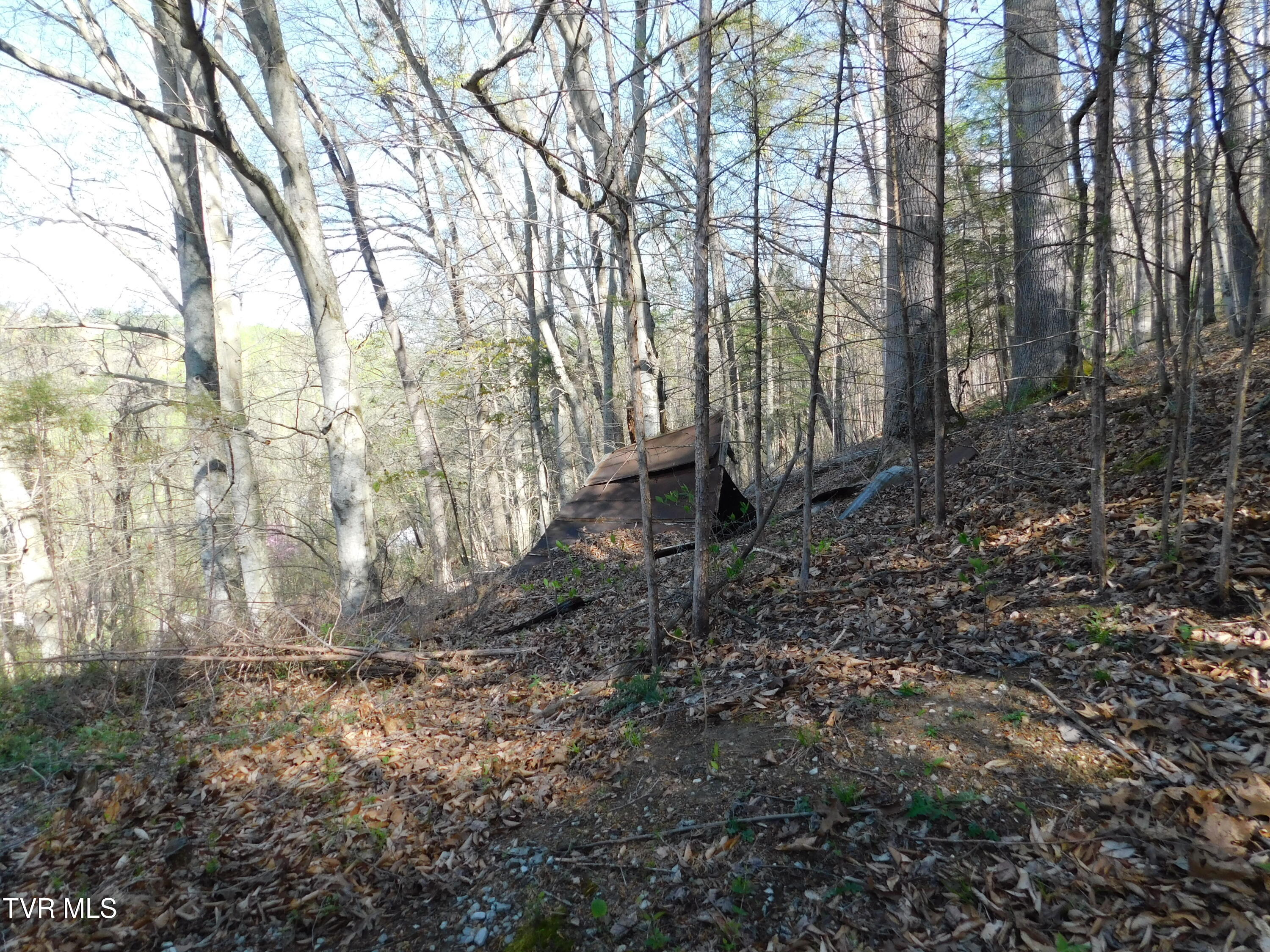 4400 Big Hill Road, Pennington Gap, Virginia image 26