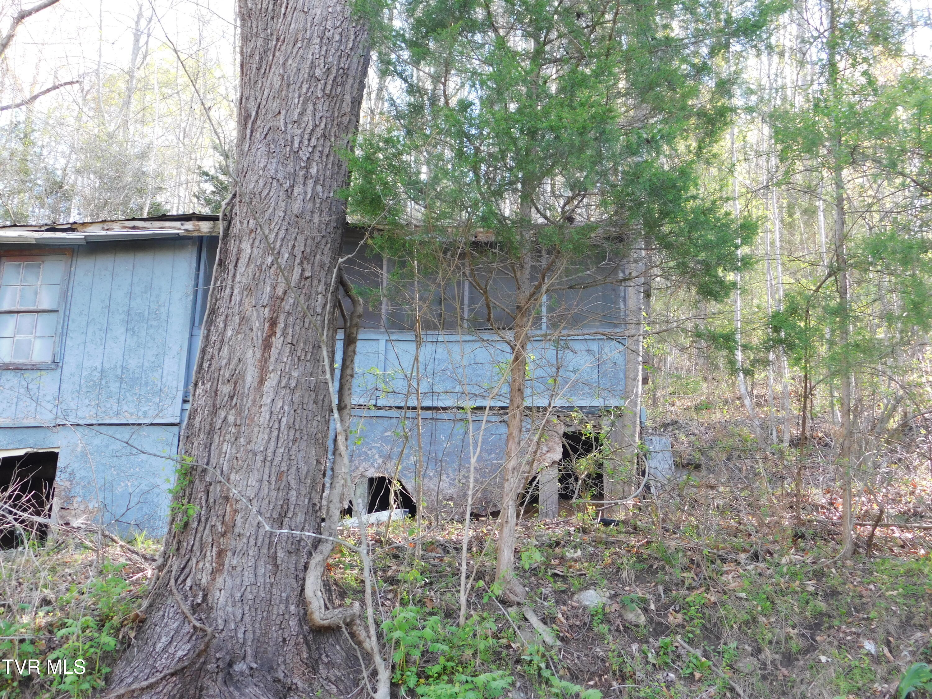 4400 Big Hill Road, Pennington Gap, Virginia image 4