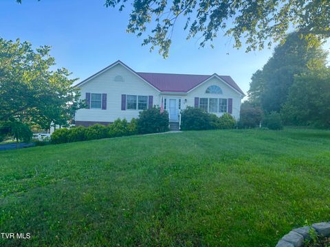 Homes For Sale - 114 Butterfly Court<br/> Limestone, TN 37681
