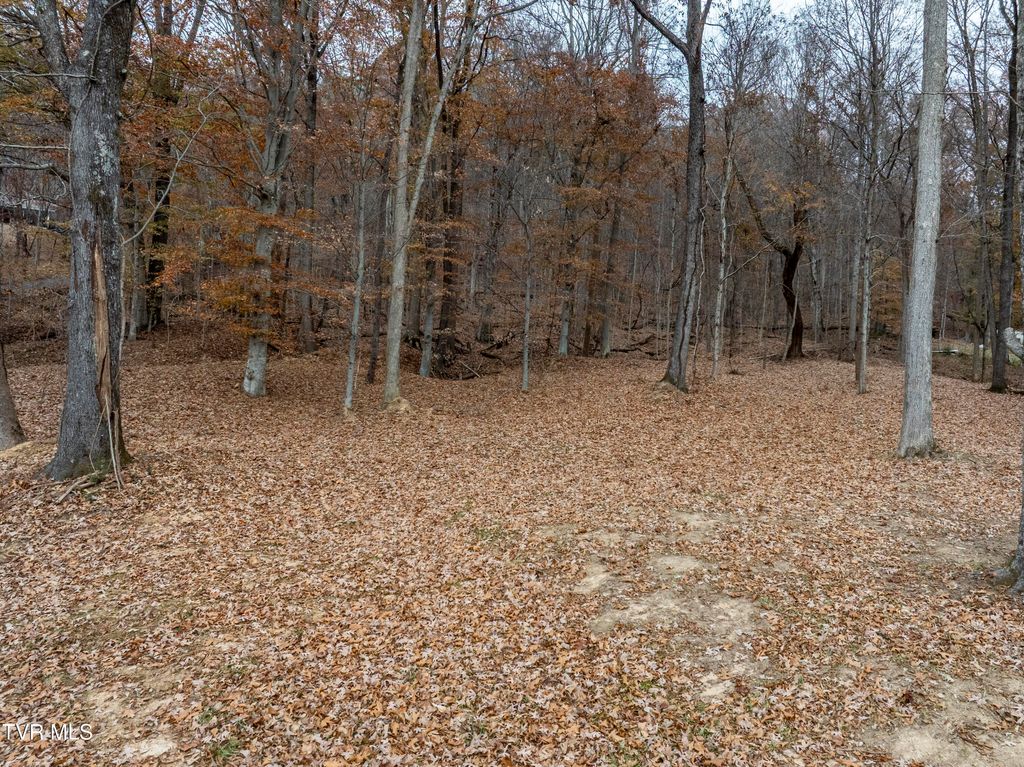 Photo of 211 Rocky Branch Road, Blountville, TN 37617 (MLS # 9988576)