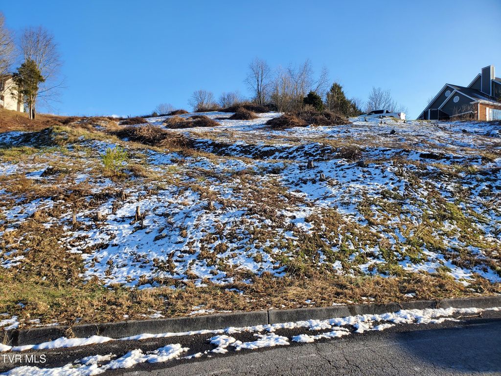 Photo of 209 Briarfield Drive, Kingsport, TN 37660 (MLS # 9975101)