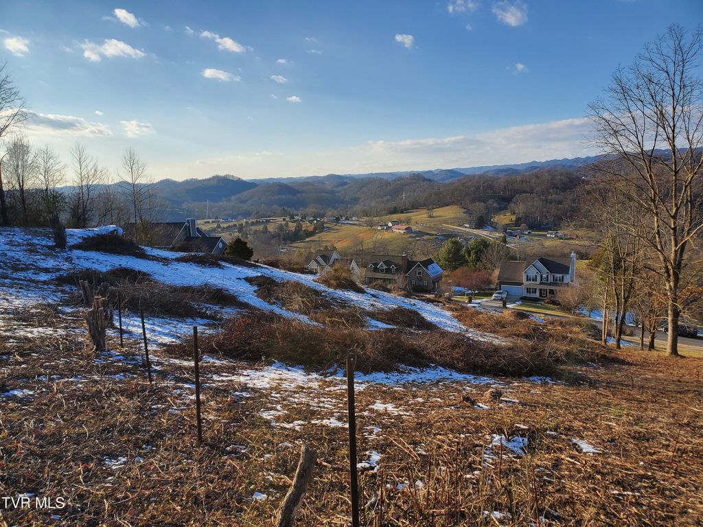 Photo of 209 Briarfield Drive, Kingsport, TN 37660 (MLS # 9975101)