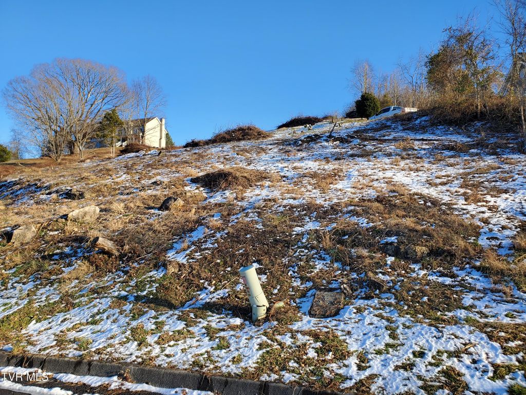 Photo of 209 Briarfield Drive, Kingsport, TN 37660 (MLS # 9975101)