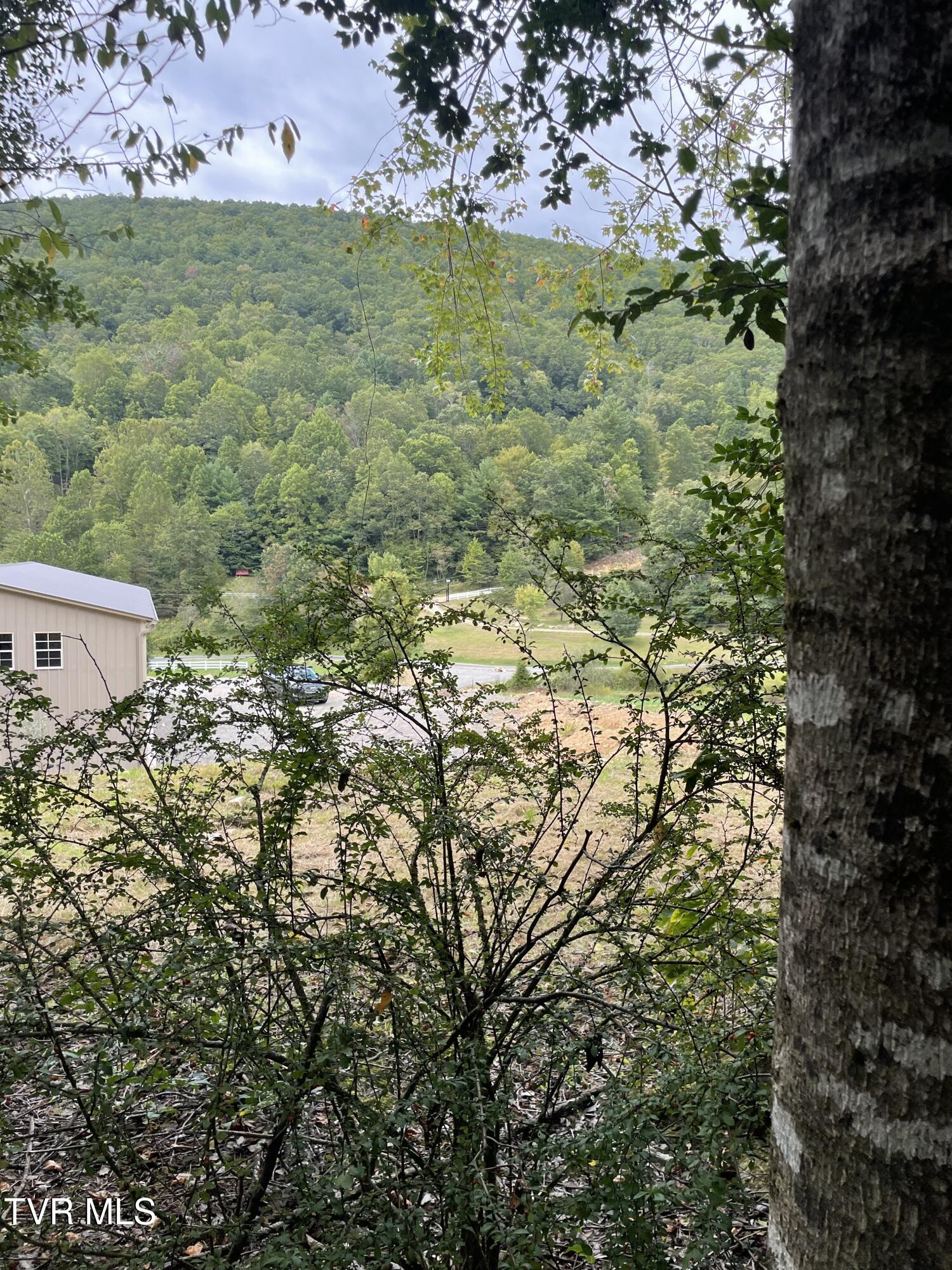 Lot 2 Myrtle Drive, Butler, Tennessee image 3