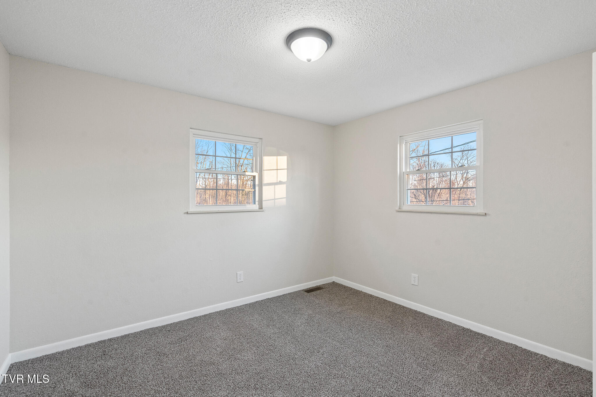 290 Polly Anna Drive, Mosheim, Tennessee image 14
