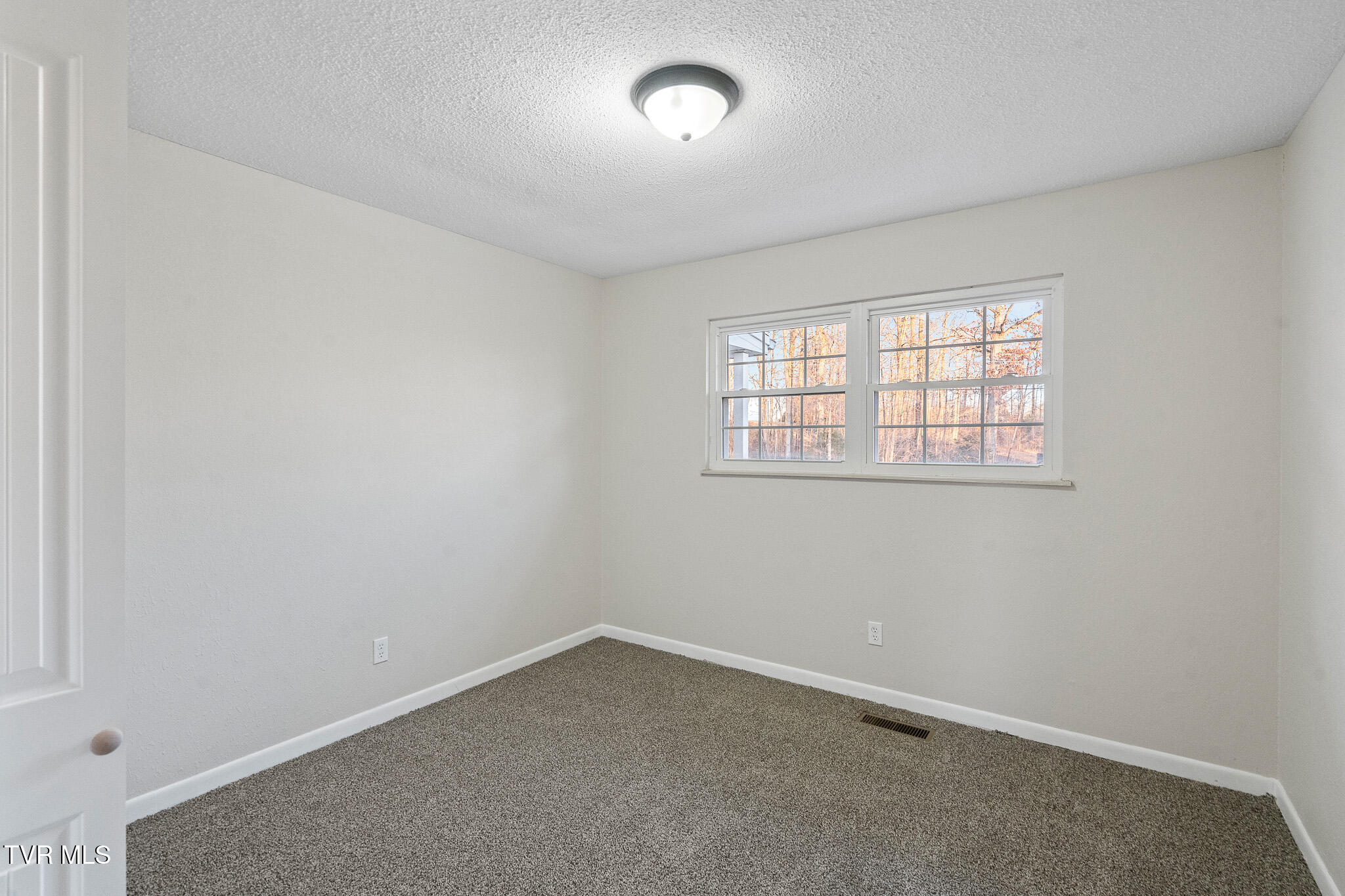 290 Polly Anna Drive, Mosheim, Tennessee image 13