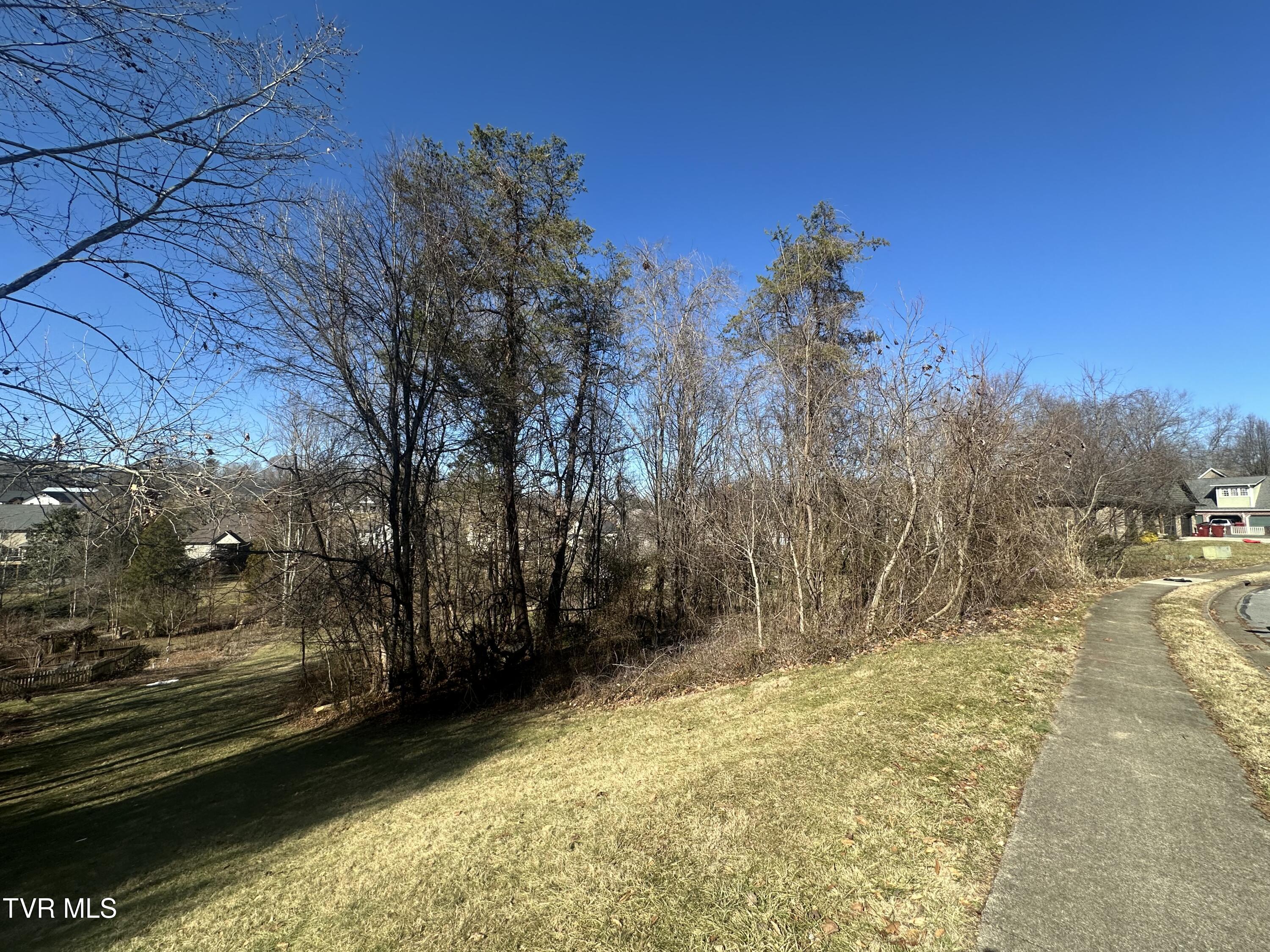 123 Vicksburg Road, Johnson City, Tennessee image 1