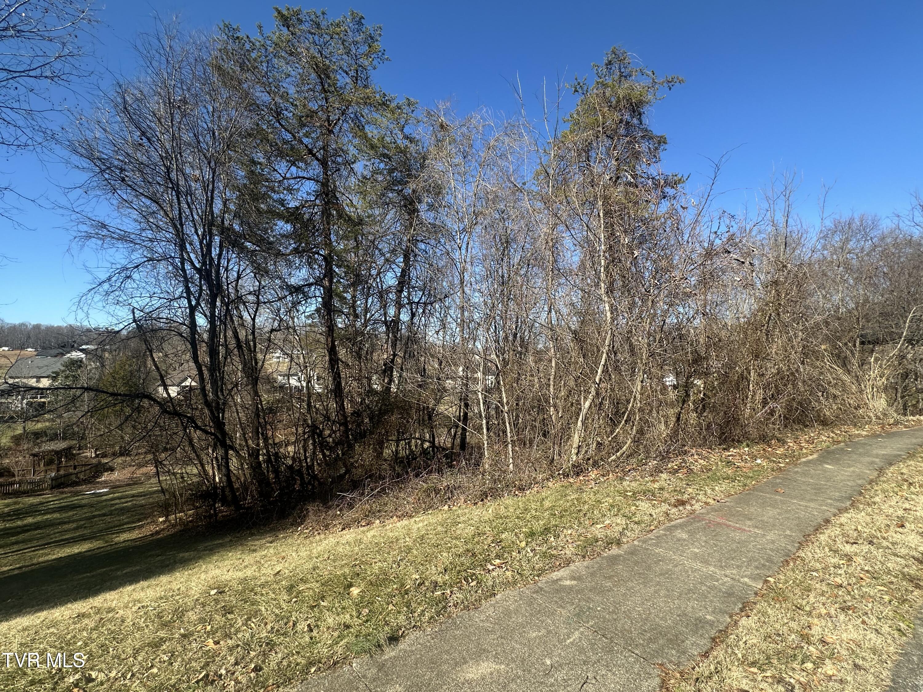 123 Vicksburg Road, Johnson City, Tennessee image 3