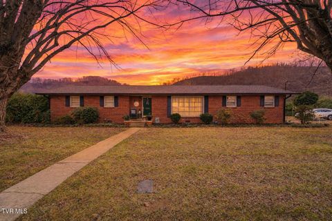 Photo of 1200 Michigan Avenue, Elizabethton, TN 37643 (MLS # 9989842)