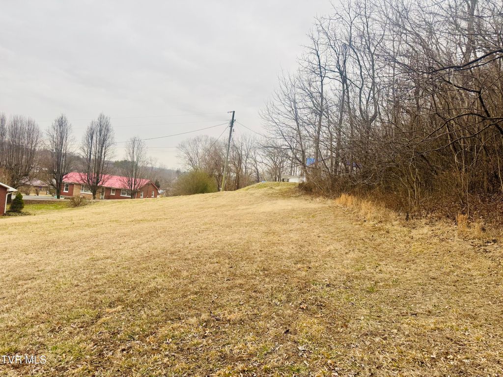 Photo of 108 Ingram Street, Elizabethton, TN 37643 (MLS # 9991372)