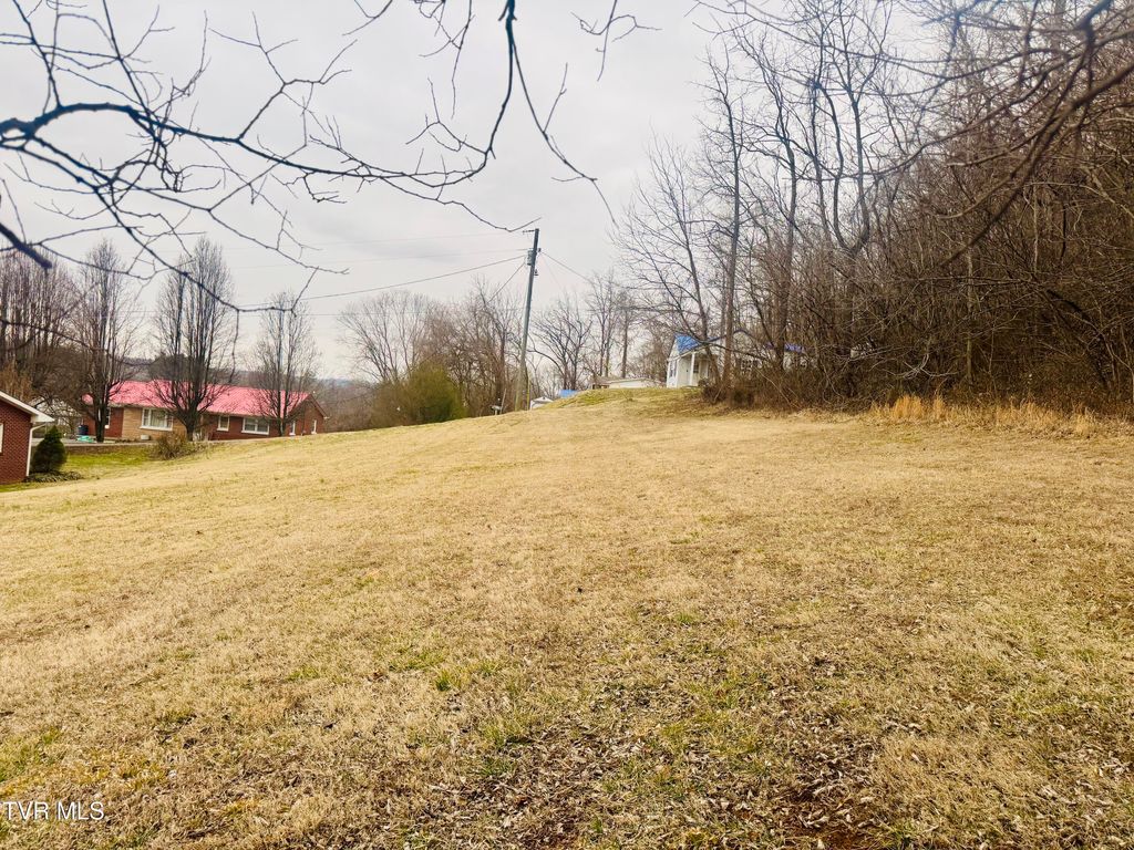 Photo of 108 Ingram Street, Elizabethton, TN 37643 (MLS # 9991372)