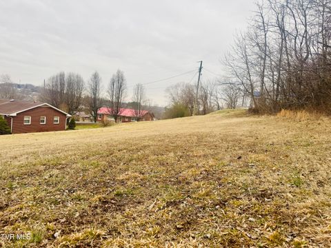 Vacant Land For Sale - 108 Ingram Street<br/> Elizabethton, TN 37643