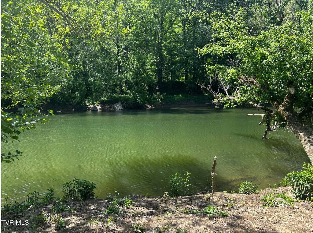 Photo of 1750 Clinch River Highway, Duffield, VA 24244 (MLS # 9994175)