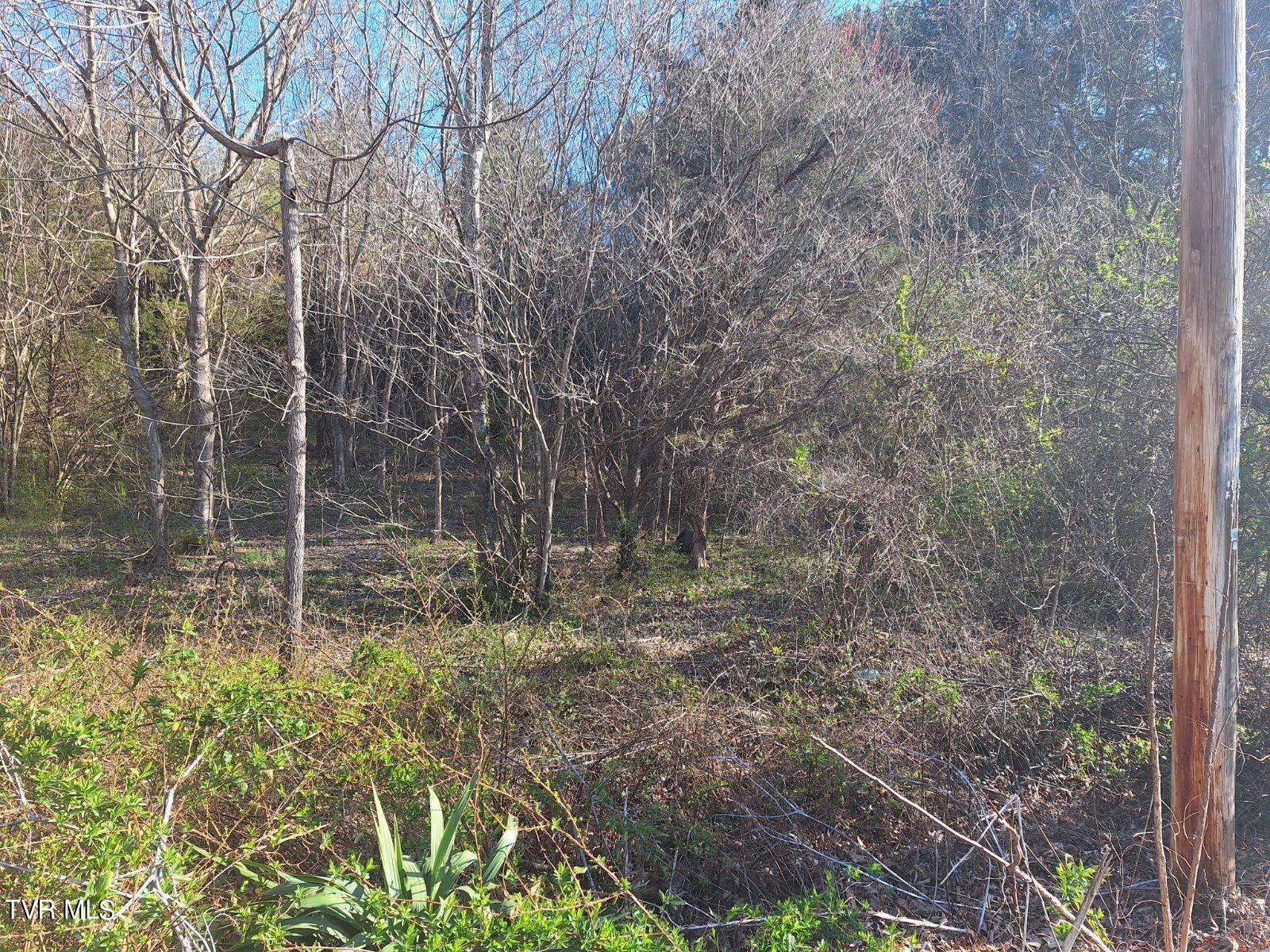 00 Sioux Trail, Greeneville, Tennessee image 1