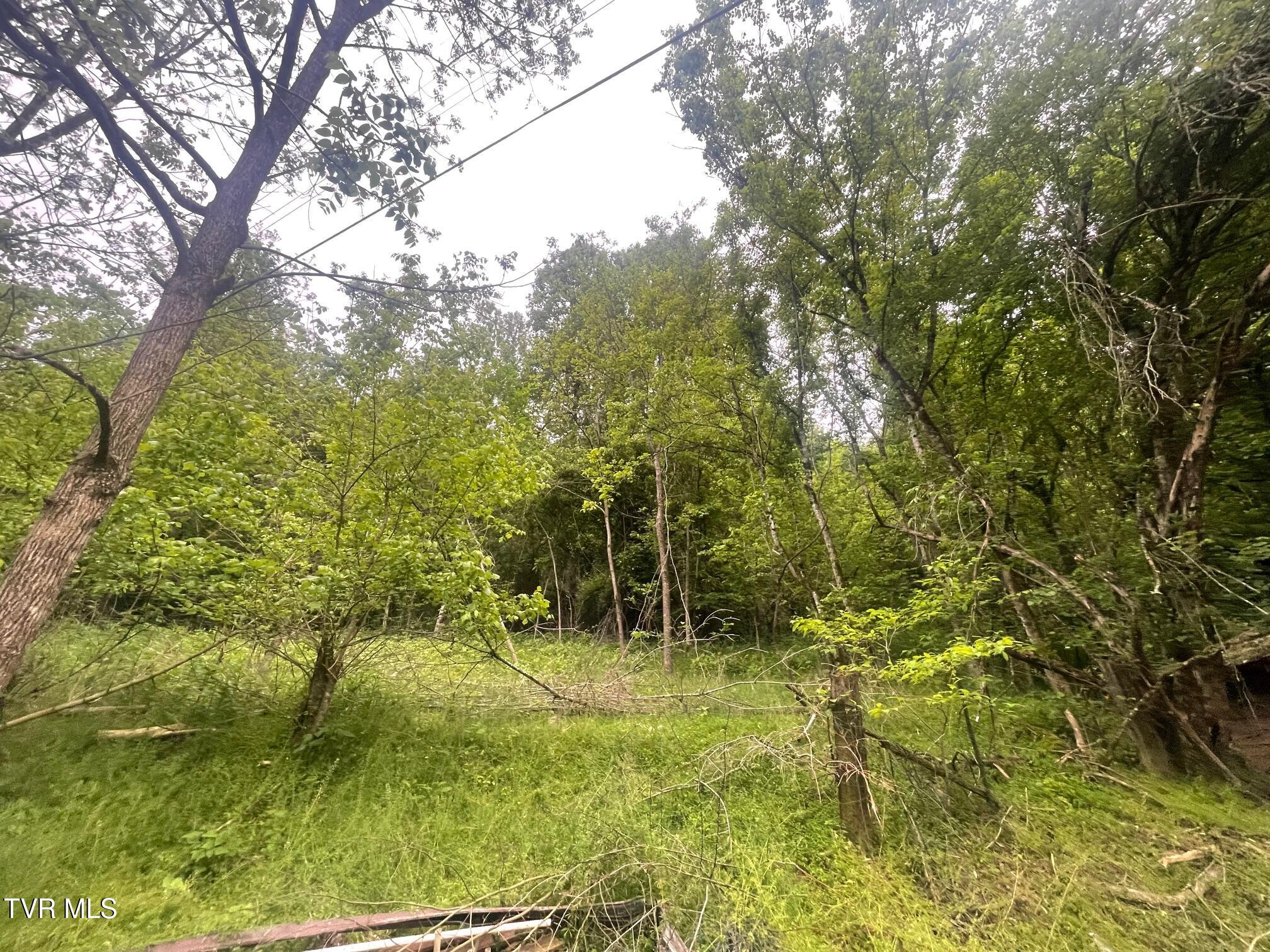 763 Sloantown Road, Duffield, Virginia image 23