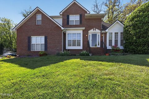 Photo of 624 Glen Oaks Place, Gray, TN 37615 (MLS # 9994734)