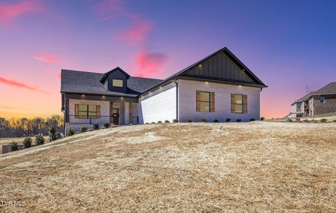 Photo of 294 River Pointe Drive, Greeneville, TN 37743 (MLS # 9987193)