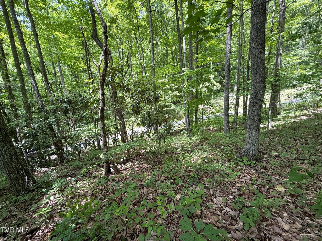 Photo of 0 Swan Saddle #10, Sevierville, TN 37876 (MLS # 9996109)