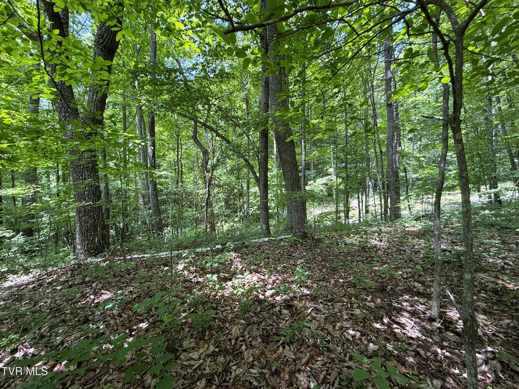 Photo of 0 Swan Saddle #10, Sevierville, TN 37876 (MLS # 9996109)