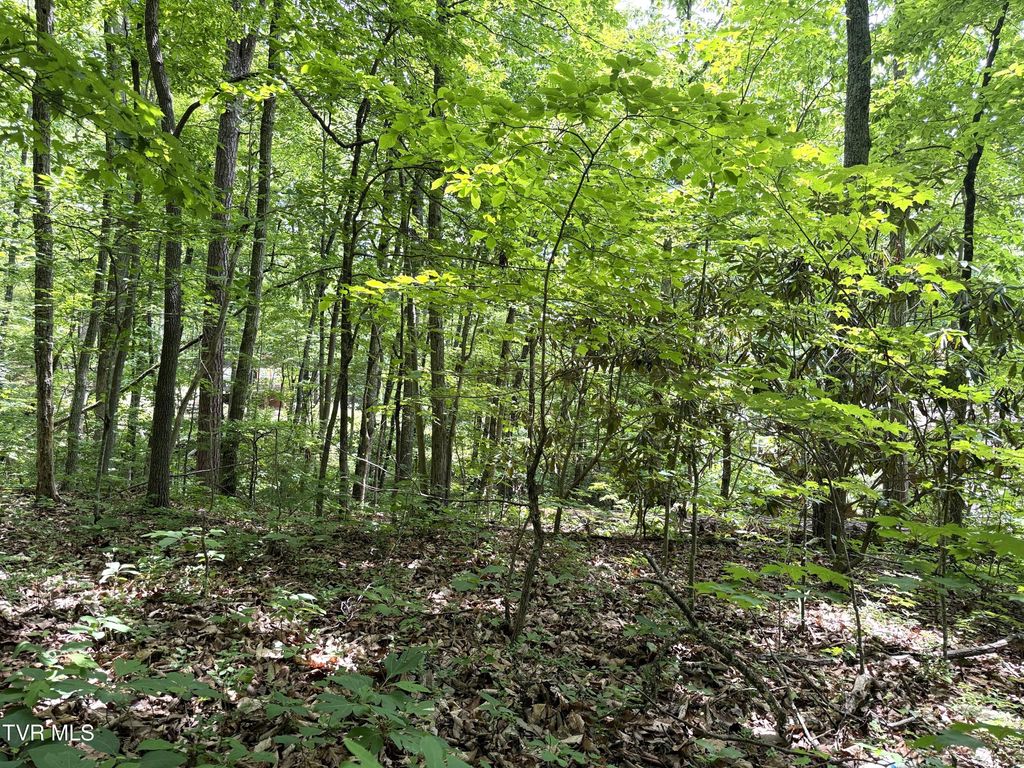 Photo of 0 Swan Saddle #10, Sevierville, TN 37876 (MLS # 9996109)
