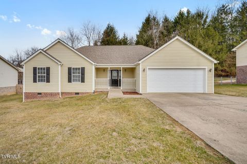 Photo of 1019 Fox Meadows Circle, Bluff City, TN 37618 (MLS # 9991418)